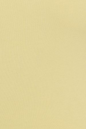 Portia Square Neckline T Shirt