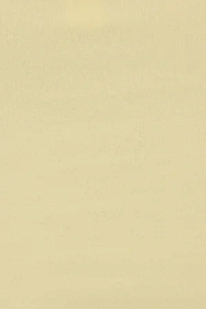 Sleek Scoop Cami Top