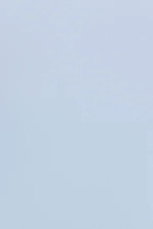 Sleek Scoop Cami Top